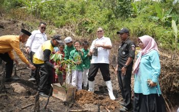 Tanam Musang King hingga Black Thorn, Gerakan Mopomulo Bidik Potensi Ekonomi Cempaka Putih