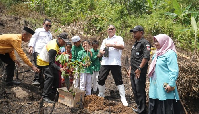 Tanam Musang King hingga Black Thorn, Gerakan Mopomulo Bidik Potensi Ekonomi Cempaka Putih